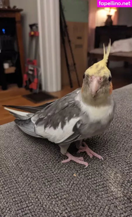 Natalie Minx OnlyFans Thumbnail #W9KheIb5e5