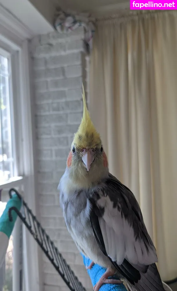 Minxeebot, natalieferminx Nude Leaked OnlyFans Photo #cQVppD07JA