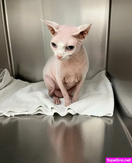 Natalielynn4216 Main Profile Photo