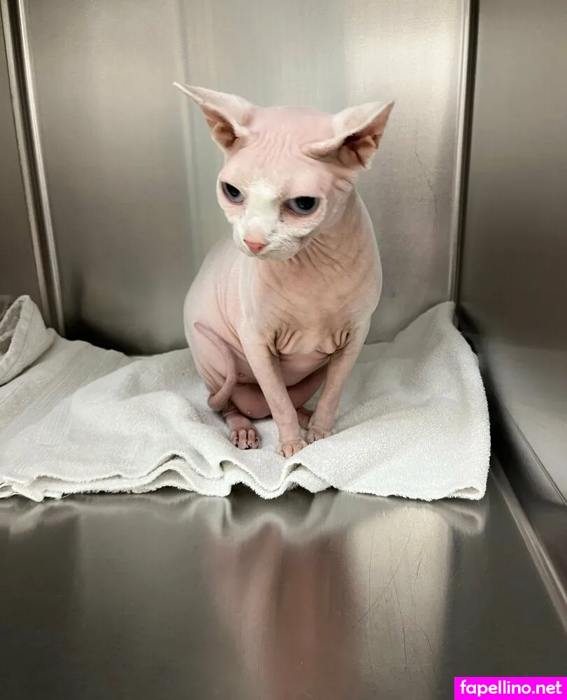 n_lynn8000, natalielynn4216 Nude Leaked OnlyFans Photo #f6RKx3Z9UN