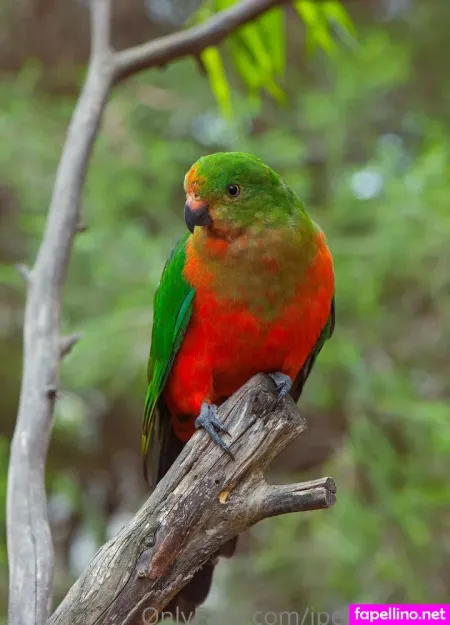 Naturepeoplephotography OnlyFans Thumbnail #14PTUcUbtD