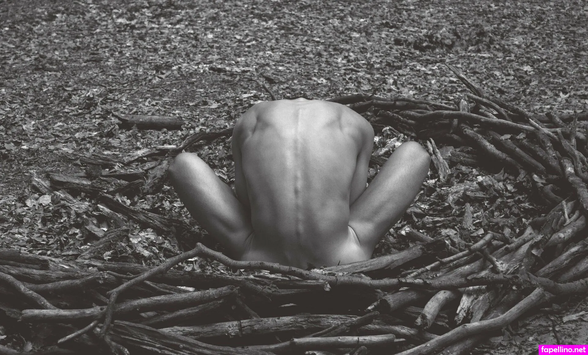 naturepeoplephotography Nude Leaked OnlyFans Photo #OZmElST91m