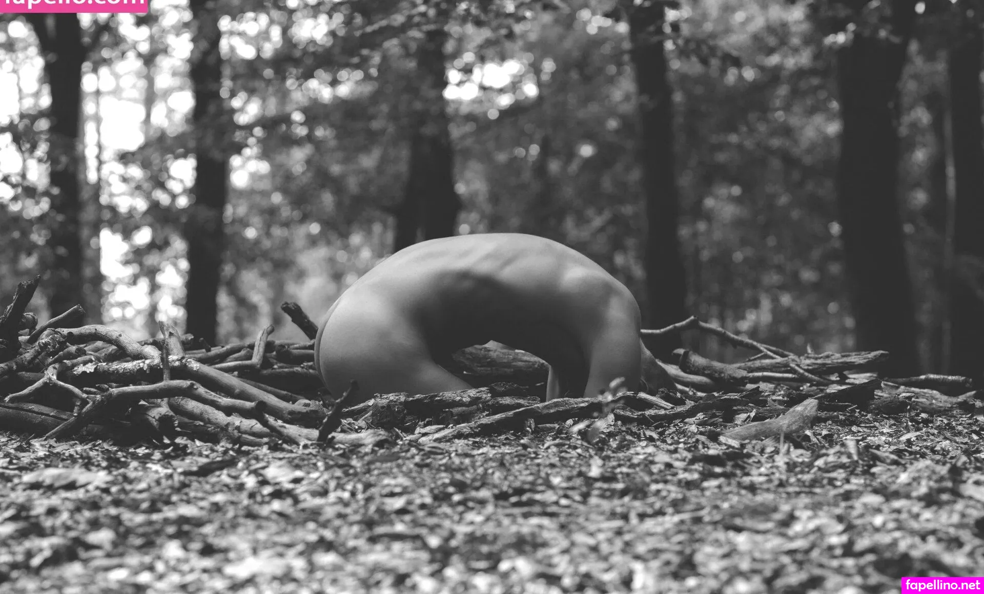 naturepeoplephotography Nude Leaked OnlyFans Photo #tPMR0uFNWy