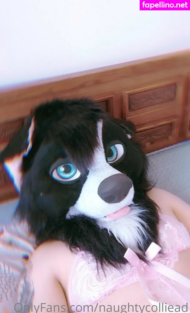 naughtycolliead Nude Leaked OnlyFans Photo #wA4fMbnfct