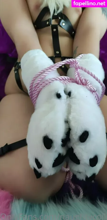 Naughtycolliead OnlyFans Thumbnail #wKUCBFwhMW