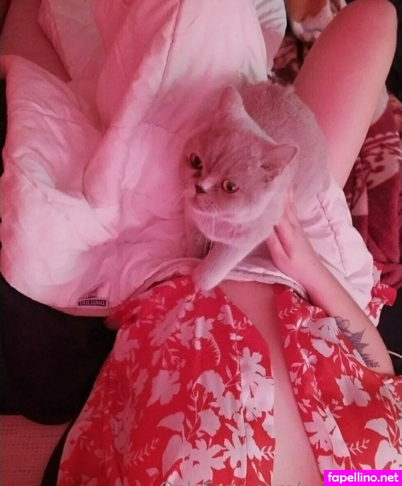 naughtyfoxyyy Nude Leaked OnlyFans Photo #CHFVbQ66z5