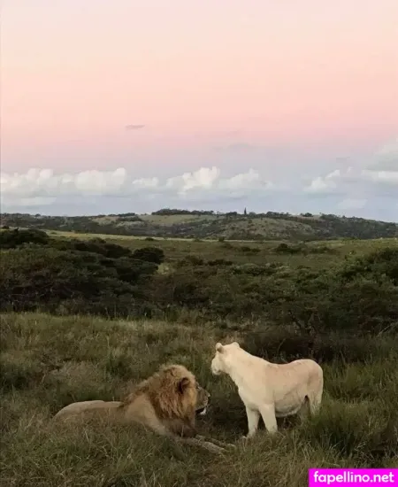 Naughtyvettech OnlyFans Thumbnail #0asGATTJe1