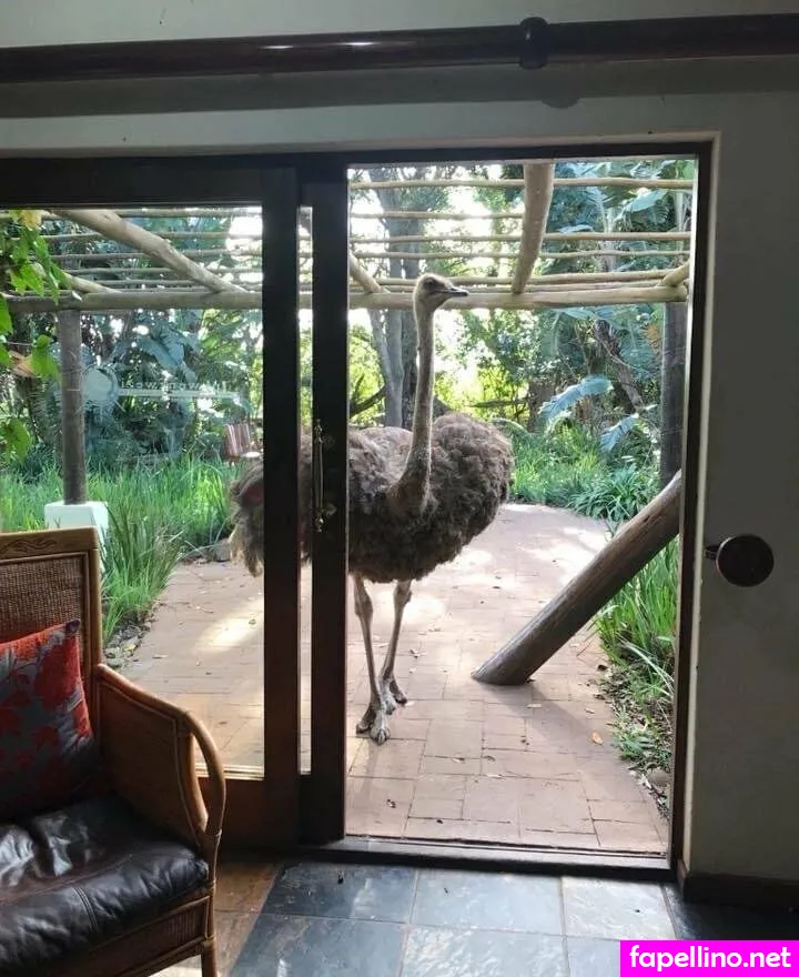 naughty.tash, naughtyvettech Nude Leaked OnlyFans Photo #DXn2ucxyVP