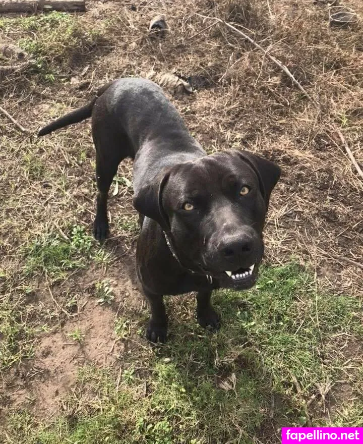 naughty.tash, naughtyvettech Nude Leaked OnlyFans Photo #jZoLUw55VJ