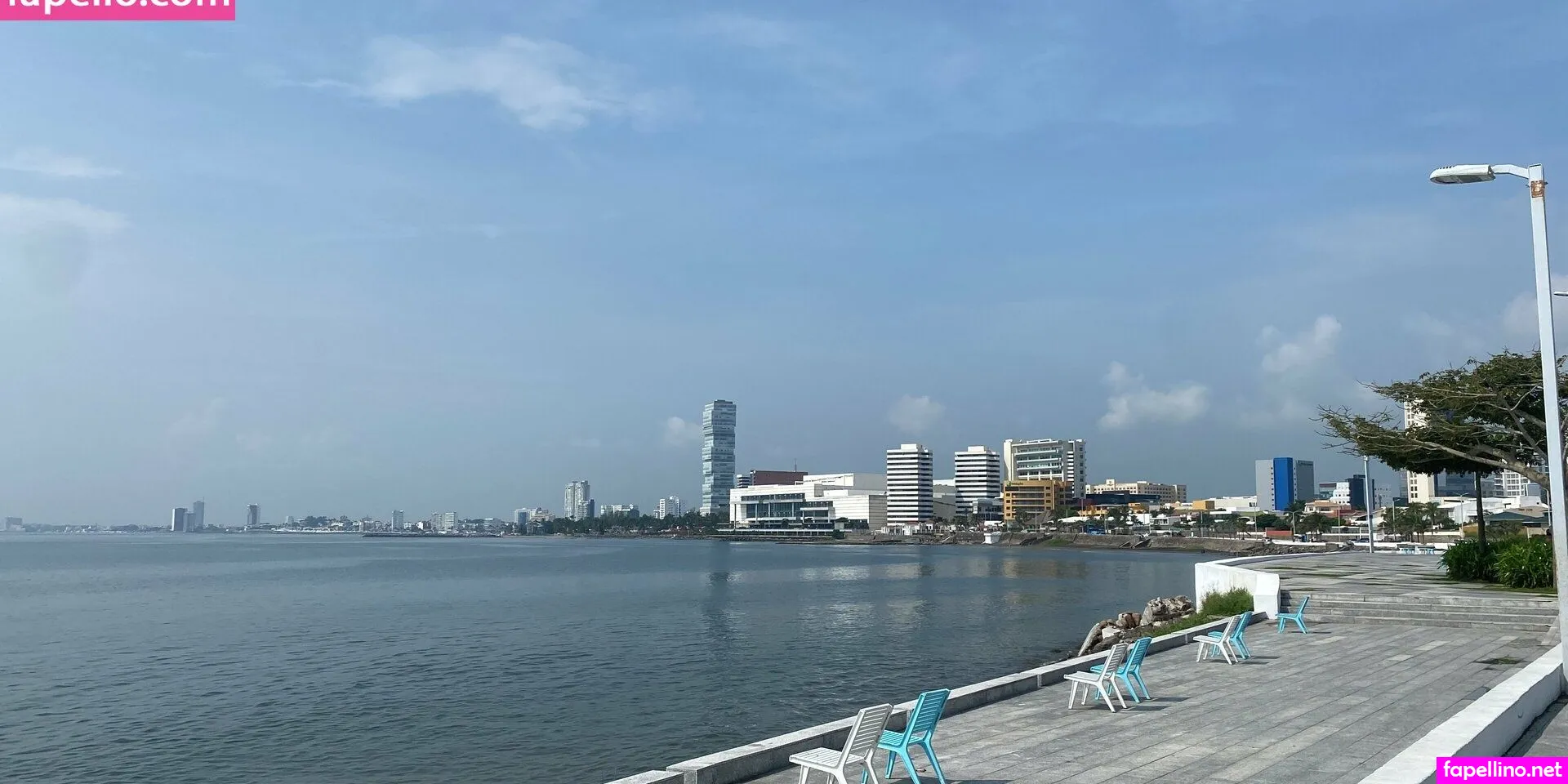 nenarubi24 Nude Leaked OnlyFans Photo #cU9nXO2f8Z