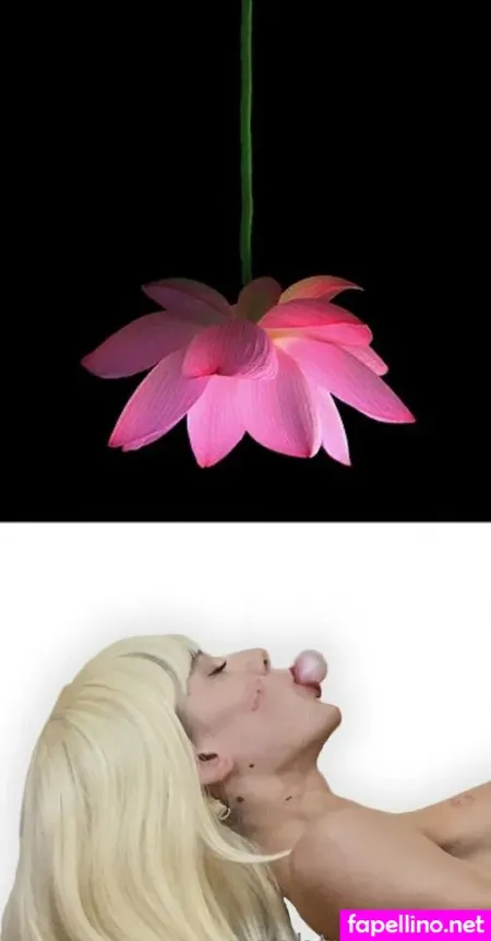 Nephtysx Main Profile Photo