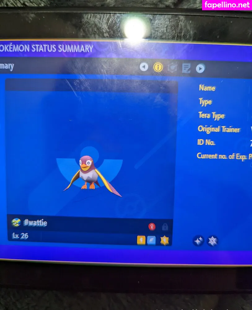 nerdgibblerluvv Nude Leaked OnlyFans Photo #upatc2AGSH