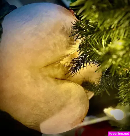 Nerdynaughtynrs OnlyFans Thumbnail #sTm69UqTiu