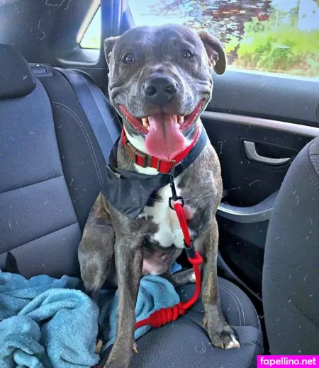 Nerea Lopez OnlyFans Thumbnail #QE5LBeqTxg