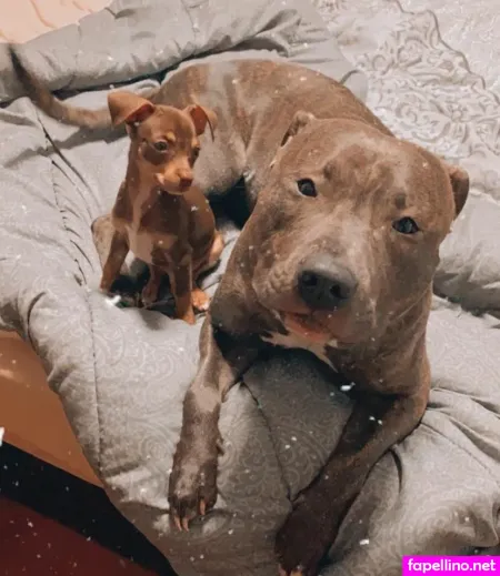 Nerea Lopez Main Profile Photo