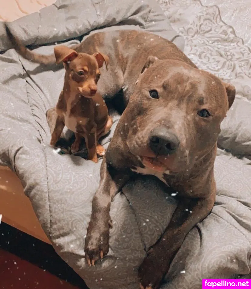 nerealoopez_ Nude Leaked OnlyFans Photo #iNJvIrhdgb