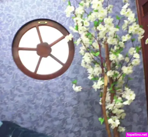 Newmfx Main Profile Photo