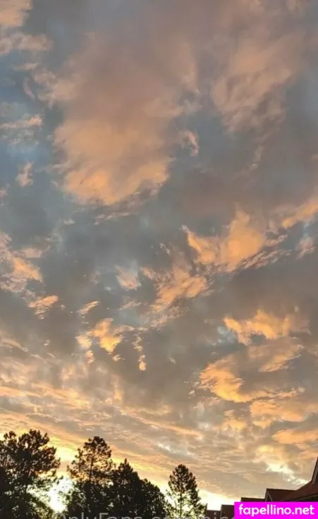 Nice Alien Main Profile Photo