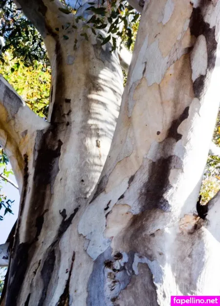 Nicketta OnlyFans Thumbnail #ODan5uBs4X