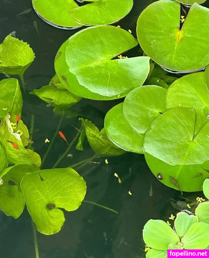 nico_ni, nini2q1 Nude Leaked OnlyFans Photo #6lj287NsIC