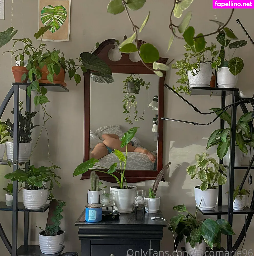 nicomarie96 Nude Leaked OnlyFans Photo #e4kVW64PEU