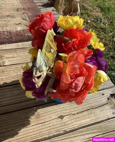 Niki J OnlyFans Thumbnail #7QnlISV0Rt