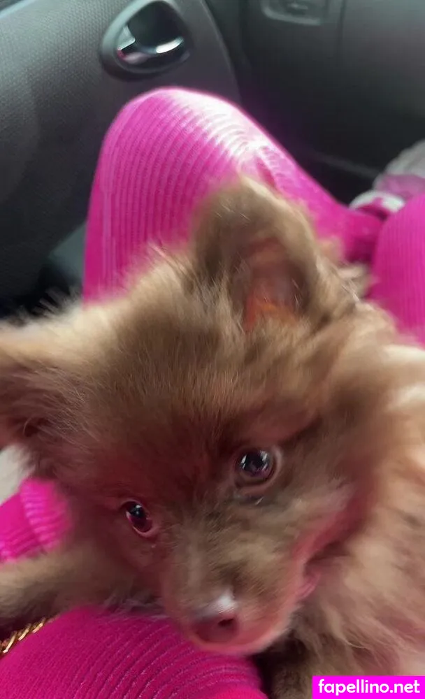 nikitaleigh__ Nude Leaked OnlyFans Photo #YClc3Jvb3I