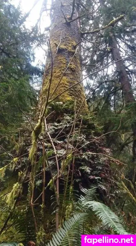 Nikki Mayhem OnlyFans Thumbnail #oSp9kMSfZZ