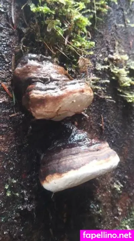 Nikki Mayhem OnlyFans Thumbnail #pxkehndNca