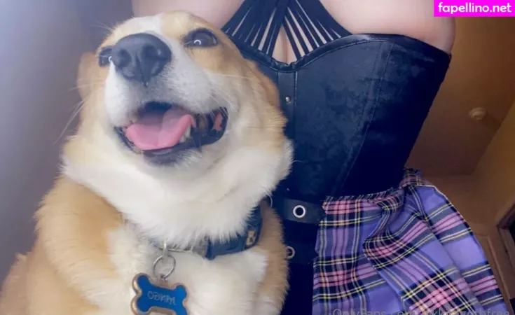 Nikkitagothfree OnlyFans Thumbnail #mEmBQO5hZb