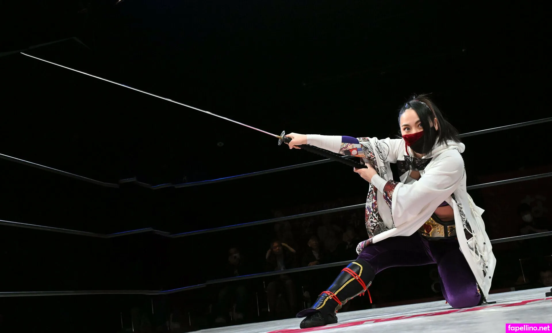 ninja_mari_japan, teamninjastudio Nude Leaked OnlyFans Photo #CuS5Lrsh6O