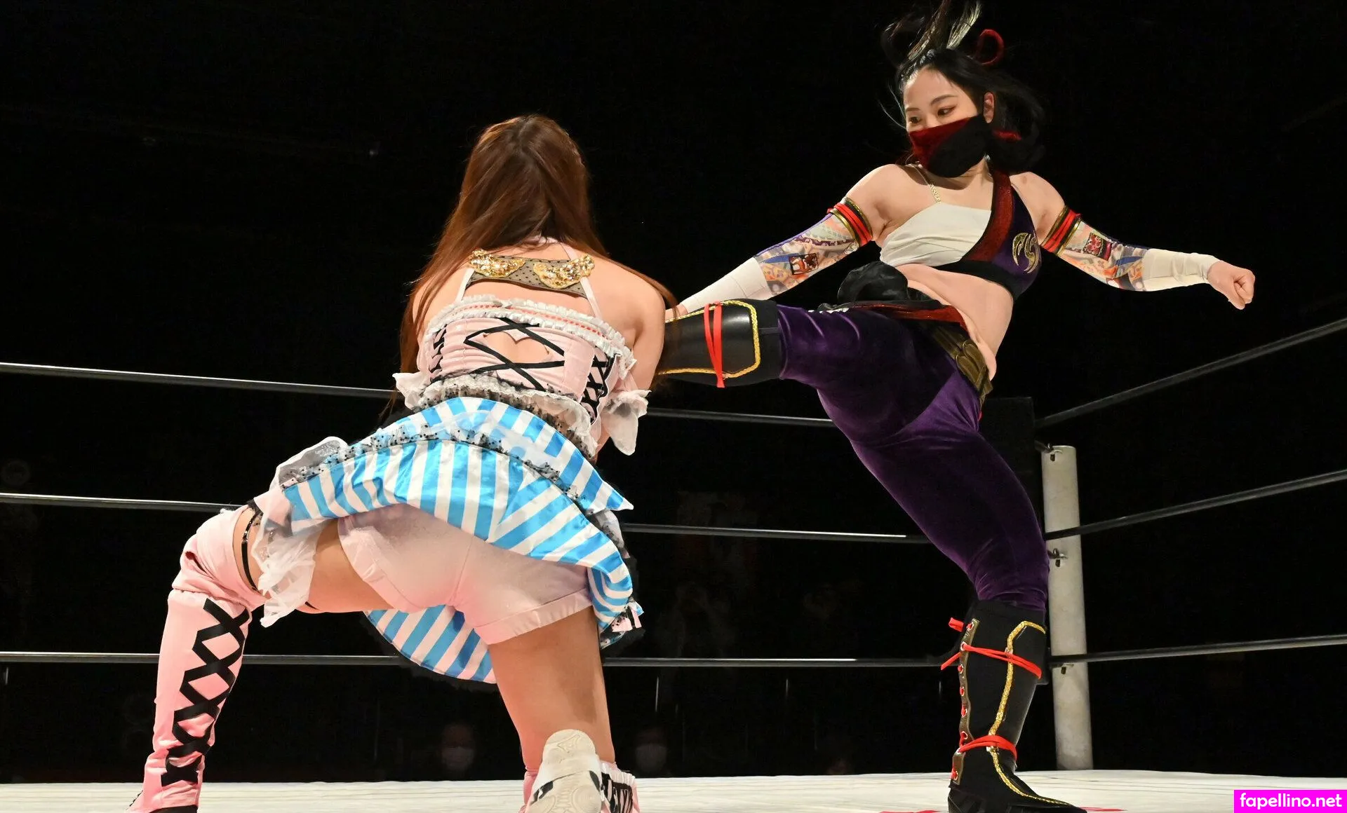 ninja_mari_japan, teamninjastudio Nude Leaked OnlyFans Photo #Hm6qMoSQlS