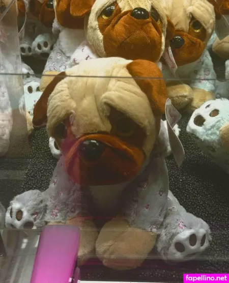 Nonameever1 OnlyFans Thumbnail #JcKWX3Am2l