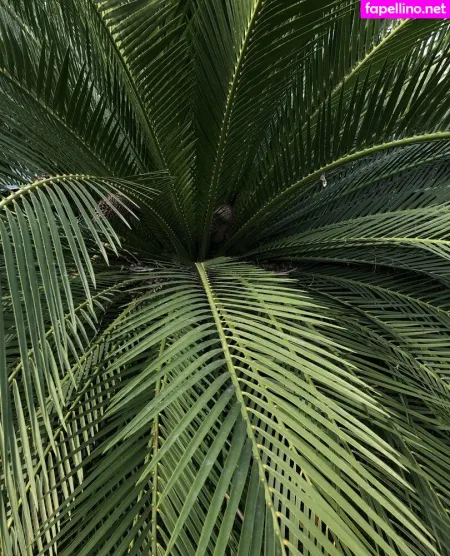 Nonstop Please OnlyFans Thumbnail #dAEMKtyDYP