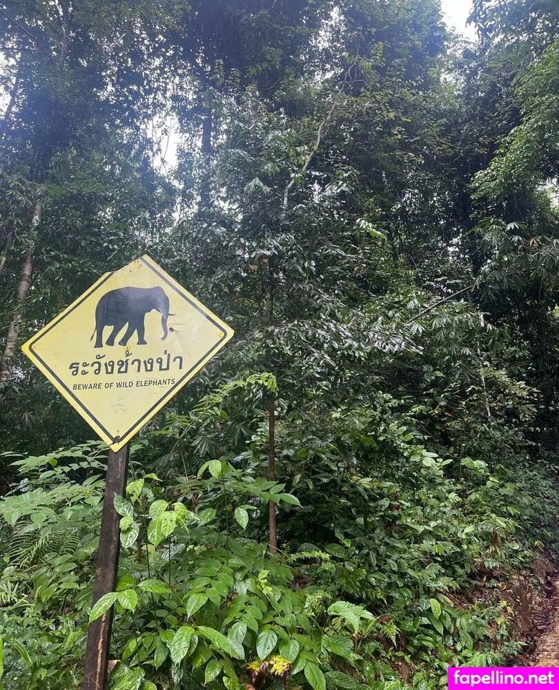 nordicguy94, sneakboy98 Nude Leaked OnlyFans Photo #dT8wAxtr95