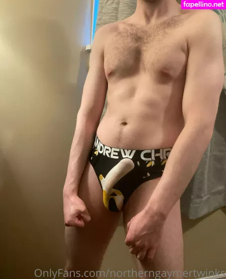 Northerngaymertwinks OnlyFans Thumbnail #CQsvy4xsuS