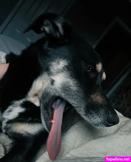 Notoriousrtc OnlyFans Thumbnail #Eixr2vYm1J