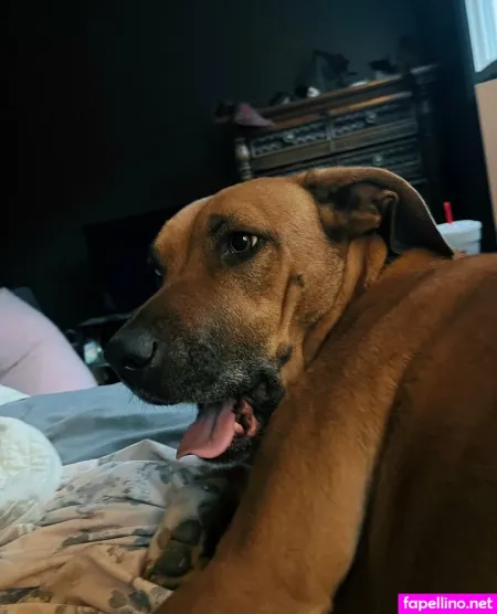 Notoriousrtc OnlyFans Thumbnail #Xa6aqlcpDD