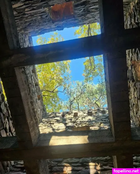 Notyourtransbaby OnlyFans Thumbnail #M5t2fNBMTr