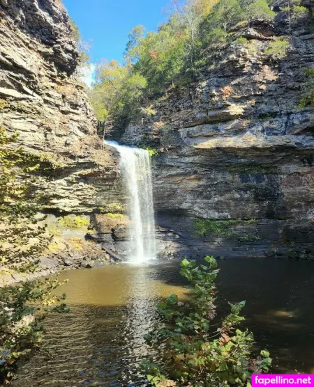 Notyourtransbaby OnlyFans Thumbnail #WUxGfmBVVb