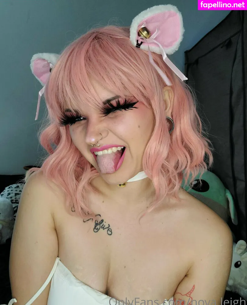 nova.leigh, novaleighthehusky Nude Leaked OnlyFans Photo #UG5Xe0NLjv