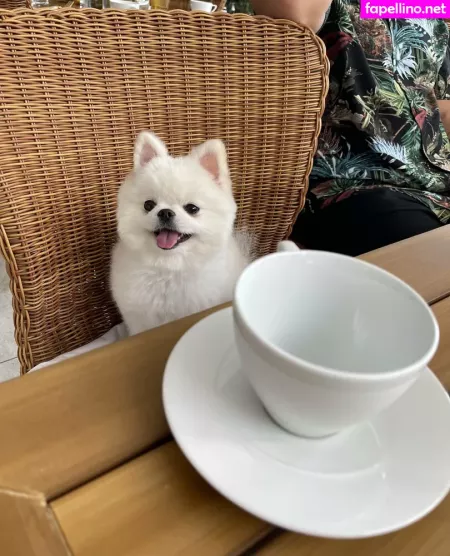 Nova Starr OnlyFans Thumbnail #QjDZo78FGk