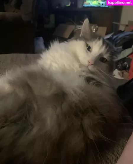 Nova2 0 OnlyFans Thumbnail #EC908wRroz