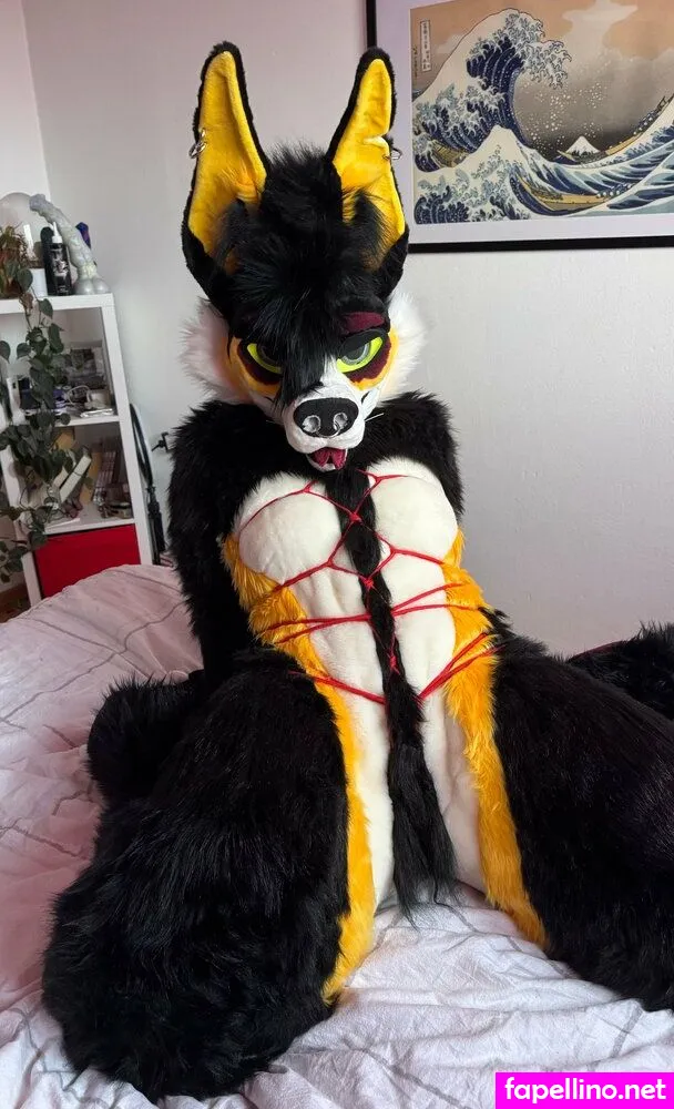 novaxcat, novaxxcat Nude Leaked OnlyFans Photo #MSlYFX66Jb