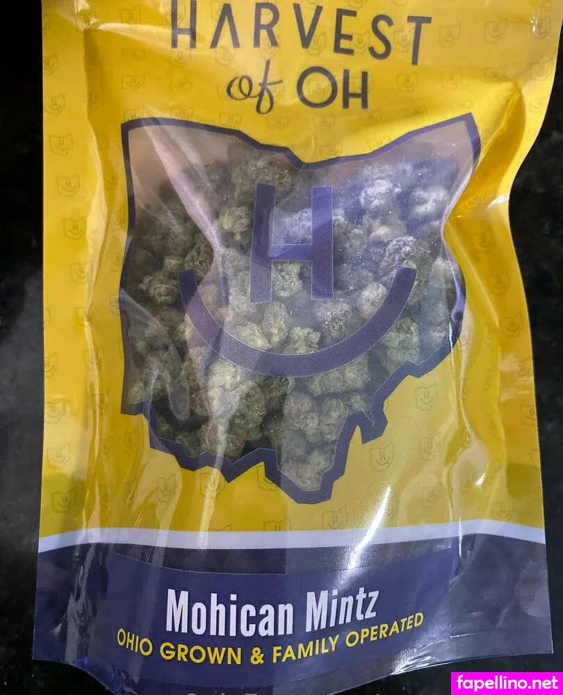 novva19noxx Nude Leaked OnlyFans Photo #KaGiE2DBFS