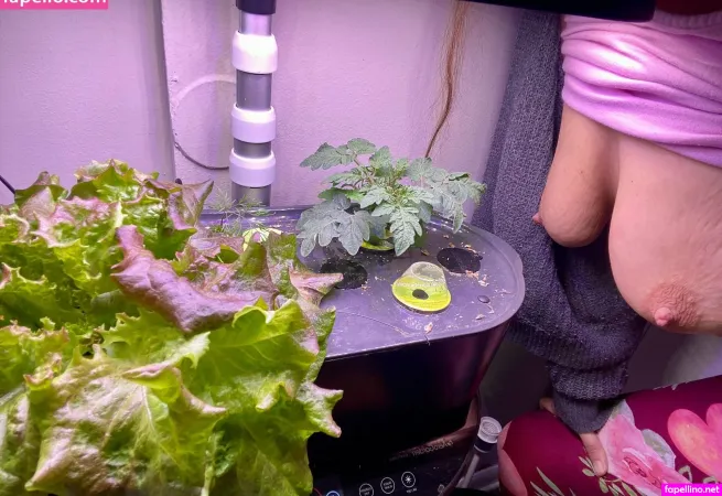 Novva19noxx OnlyFans Thumbnail #qbigMfKx2R