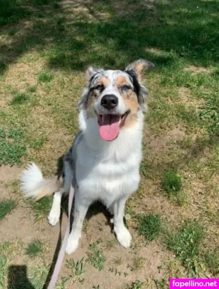 Noxylumos OnlyFans Thumbnail #g2dSbiBcqr