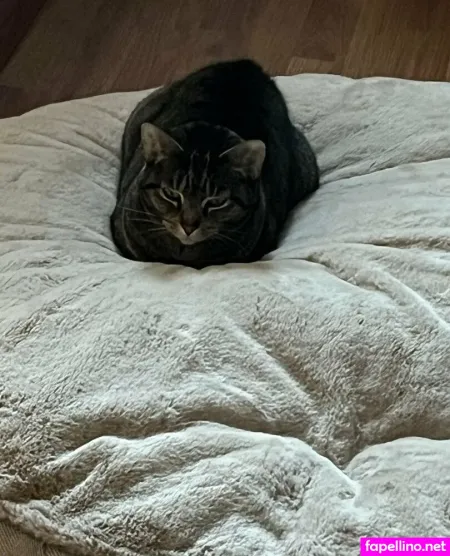 Noxylumos OnlyFans Thumbnail #qxnaReIdoT