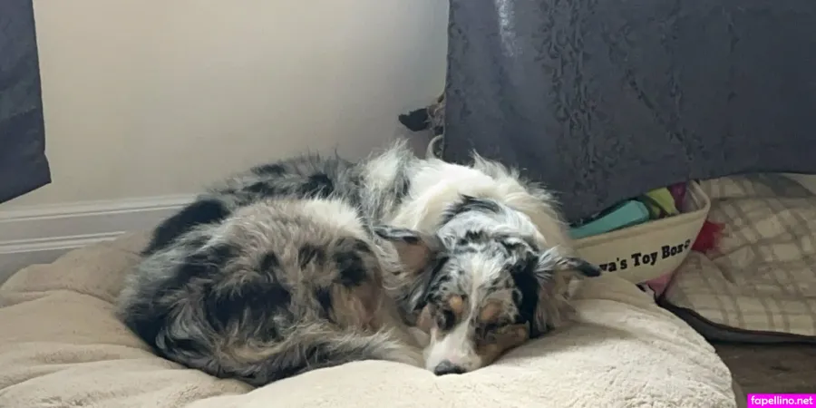 Noxylumos OnlyFans Thumbnail #wVfVk5uI5R