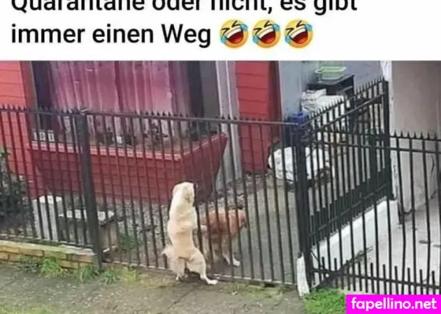 Nsfw Funny OnlyFans Thumbnail #BuEsYbVWm4